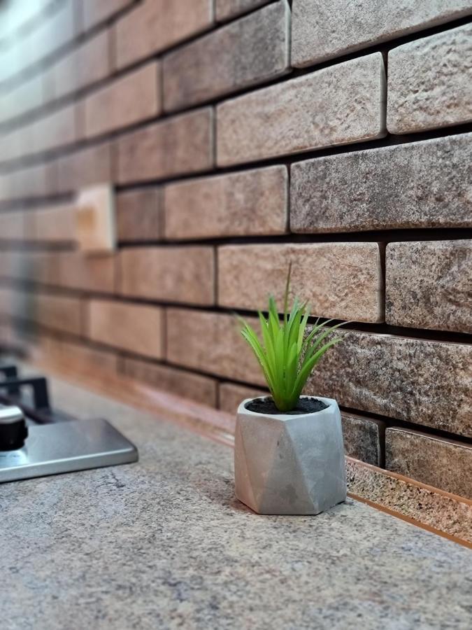 Petropavlivska Apartment Тиха Вуличка В Центрі Старого Міста Kamenets-Podolsk Eksteriør bilde